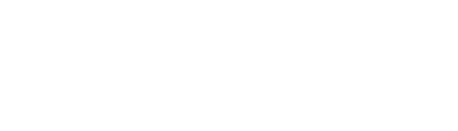Toro Logo